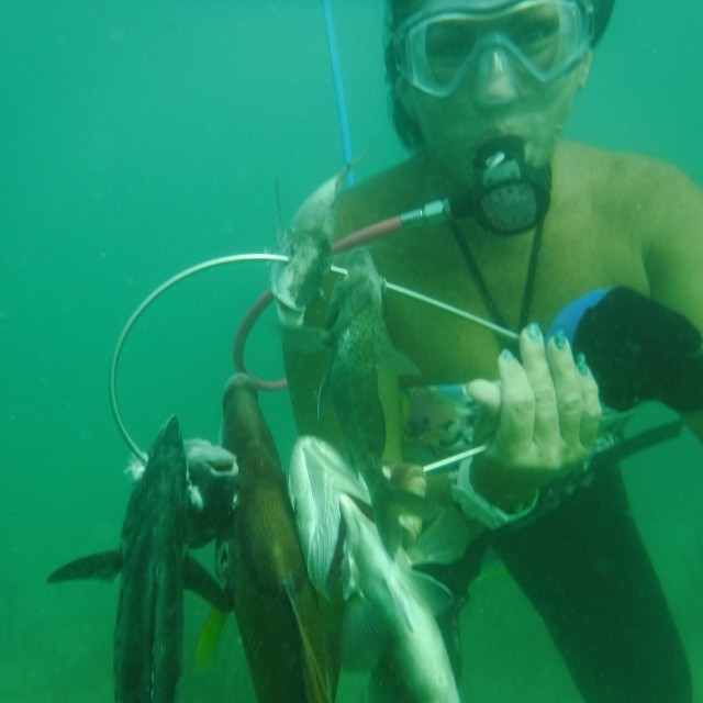 Diver surrounded by four fish while testing gear from Gator Gill LLC, the premier scuba shop Weeki Wachee FL